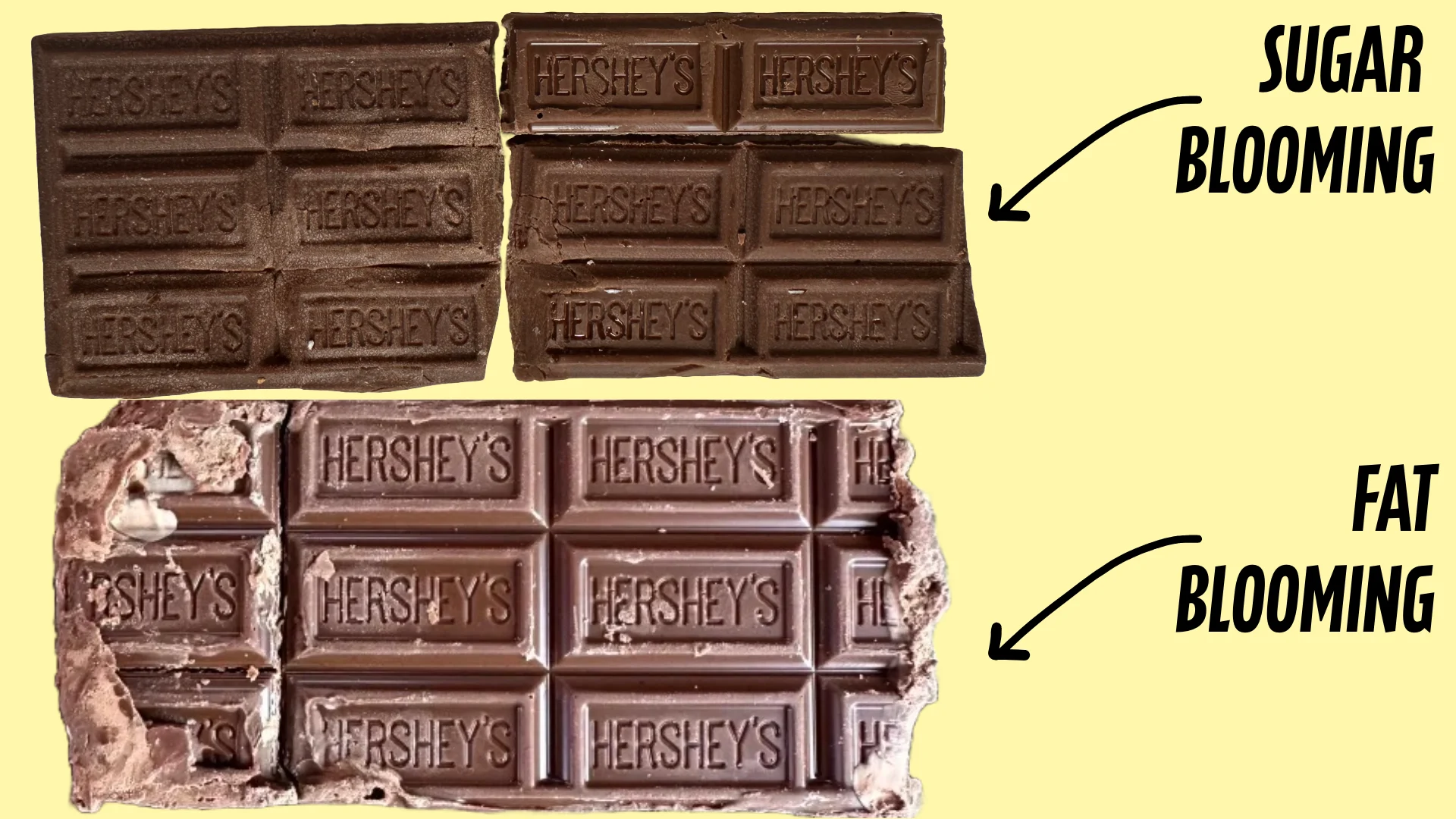 What is the difference between Fat Blooming and Sugar Blooming in Chocolate