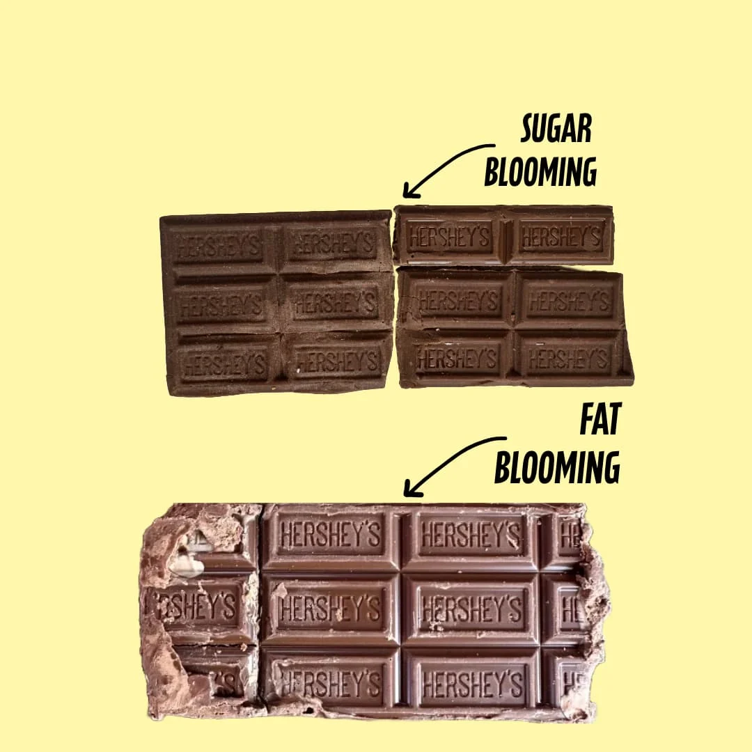 What is the difference between Fat Blooming and Sugar Blooming in Chocolate
